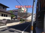 11橋本5.jpg